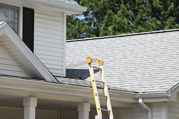 Best Siding Replacement  in Abbeville, SC